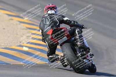 media/Nov-12-2023-SoCal Trackdays (Sun) [[5d1fba4e7d]]/Turn 10 Backside (115pm)/